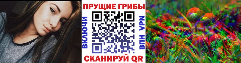 Псилоцибиновые грибы Psilocybe  Старая Купавна 